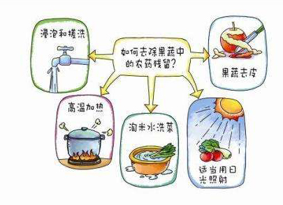 如何減少農藥污染去除農藥殘留？振華化工總結以下幾點分享給大家